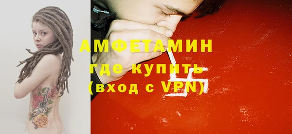 индика Вязники