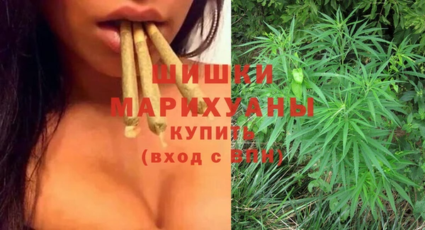 mdpv Волоколамск