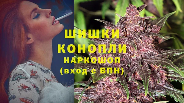 прущие крисы Вязьма