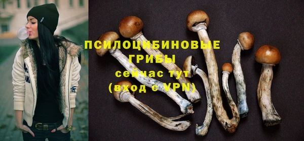 альфа пвп Вяземский